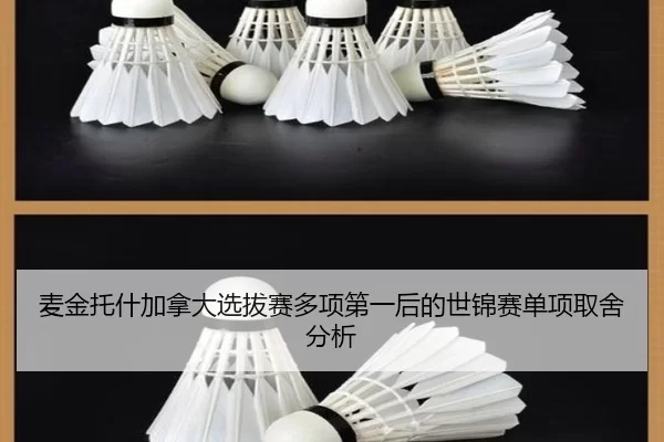 mai-jin-tuo-shen-jia-na-da-xuan-ba-sai-duo-xiang-di-yi-hou-de-shi-jin-sai-dan-xiang-qu-she-fen-xi-2-619.jpg